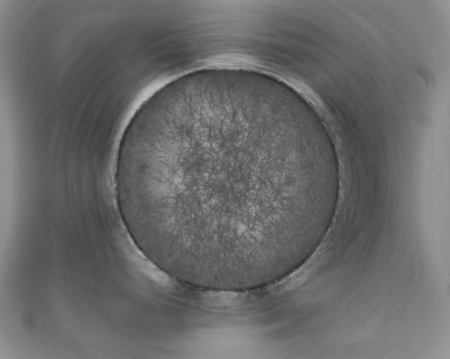X0000111001248200906261452