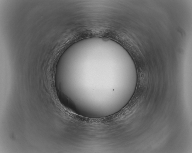 X0000111001249200906261451