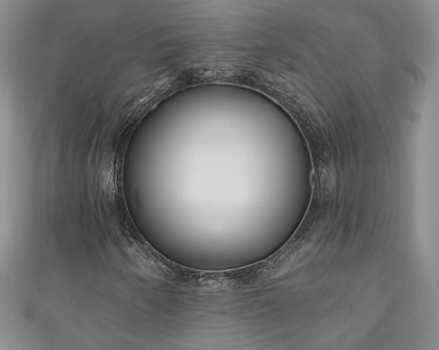 X0000111001250200906261451