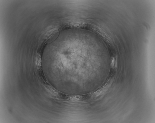 X0000111001251200906261451