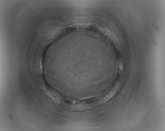 X0000111001252200906261451