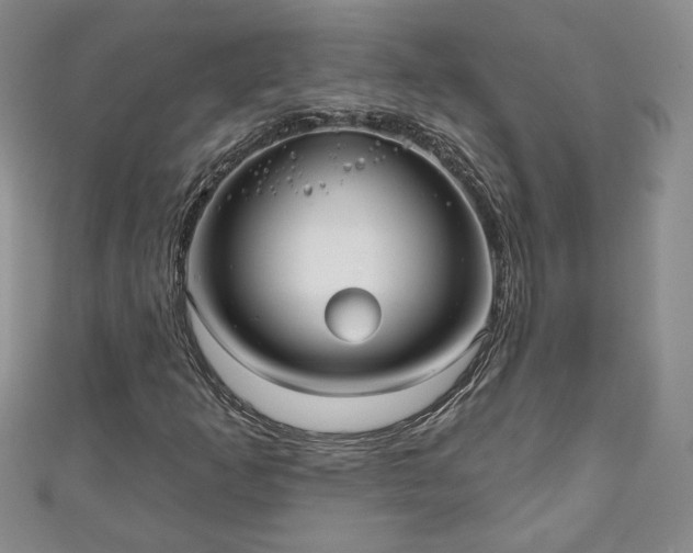 X0000111001253200906261451