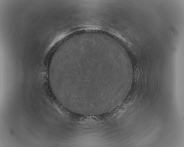 X0000111001255200906261451