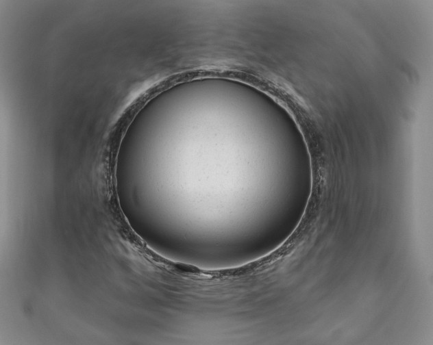 X0000111001256200906261451