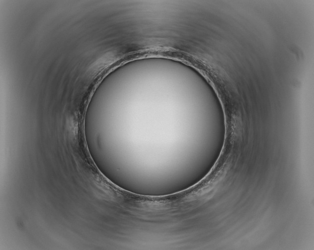 X0000111001257200906261451