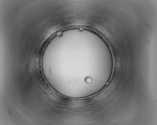 X0000111001258200906261451