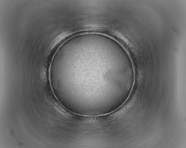 X0000111001259200906261451