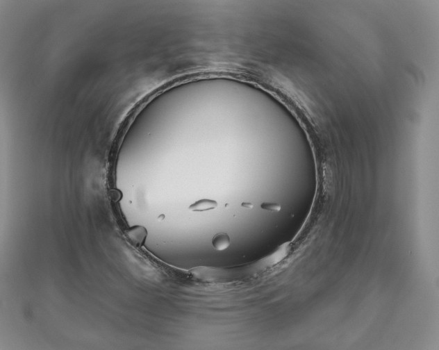 X0000111001260200906261451