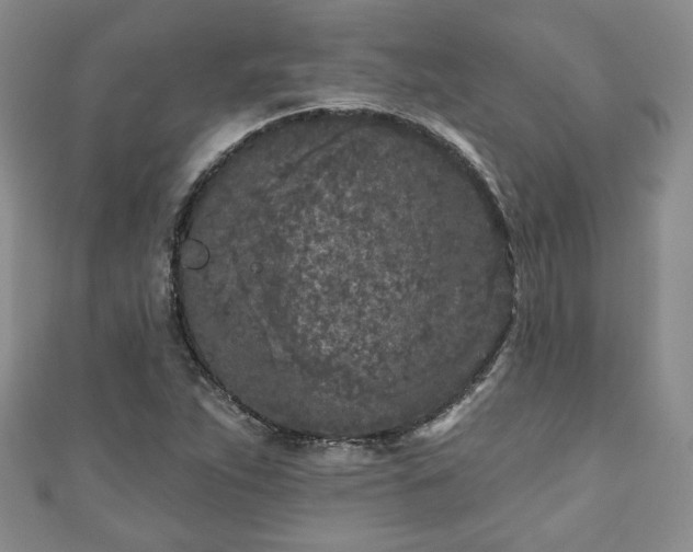 X0000111001263200906261451