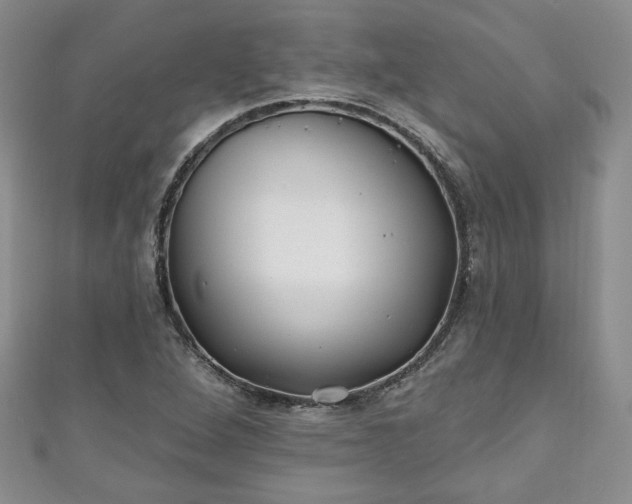 X0000111001264200906261451