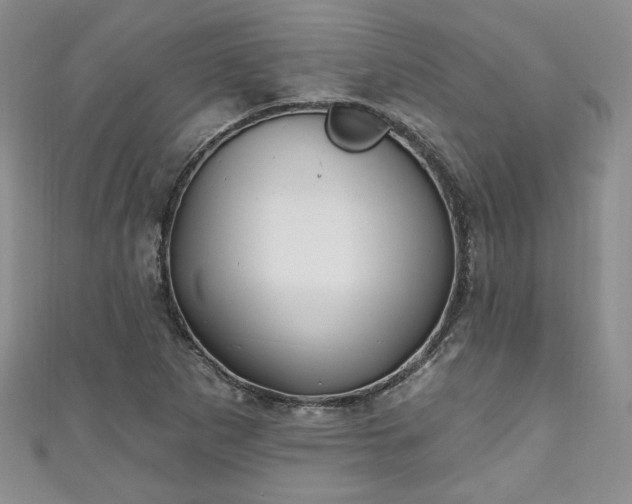 X0000111001265200906261451