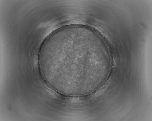 X0000111001266200906261451