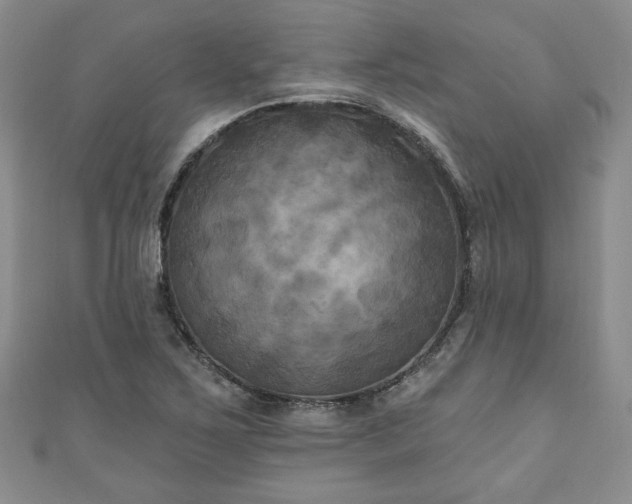 X0000111001267200906261451