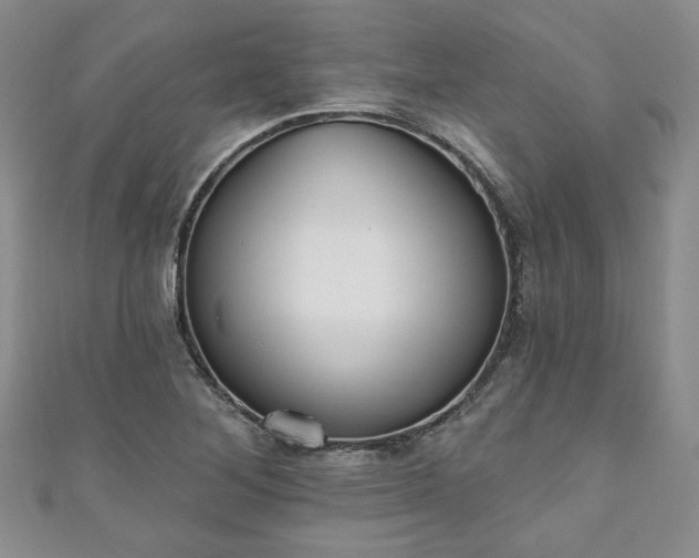 X0000111001268200906261451