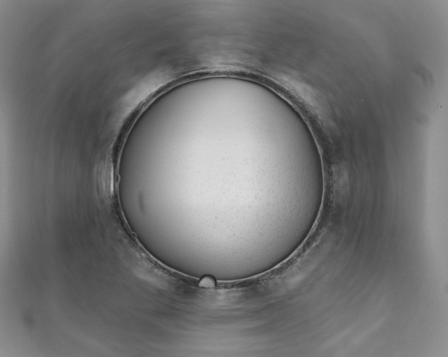 X0000111001269200906261451