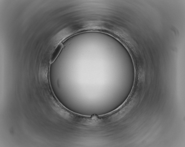 X0000111001273200906261451