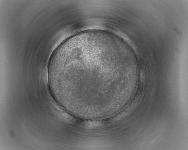 X0000111001274200906261451