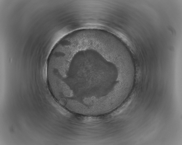 X0000111001275200906261451