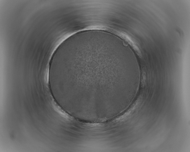 X0000111001276200906261451