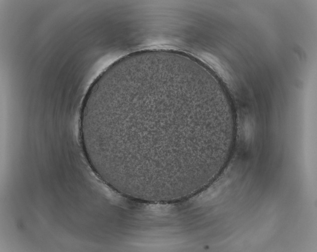 X0000111001277200906261451