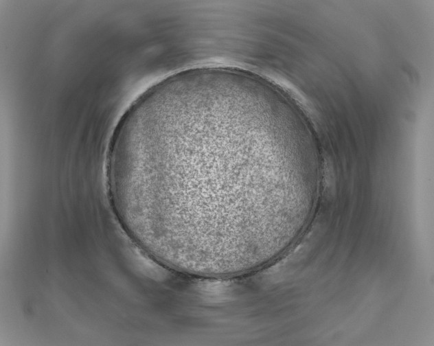 X0000111001278200906261451