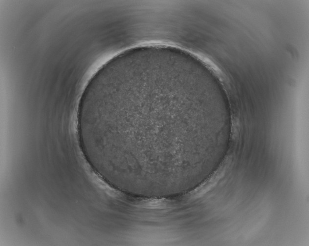 X0000111001279200906261451