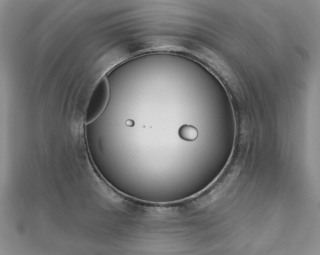 X0000111001281200906261451