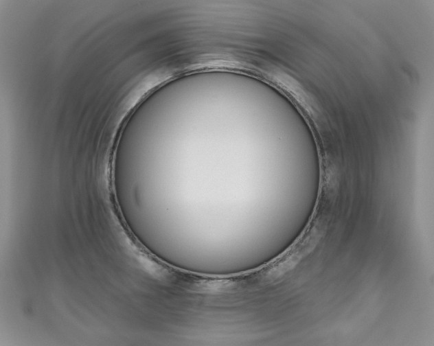 X0000111001282200906261451