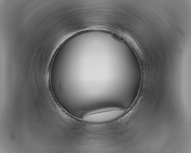 X0000111001284200906261451