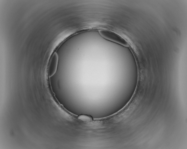 X0000111001285200906261451