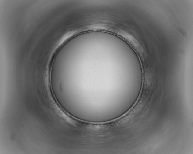 X0000111001286200906261451