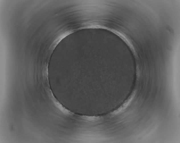 X0000111001289200906261451