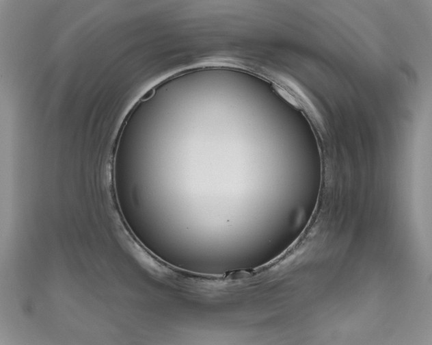 X0000111001292200906261451