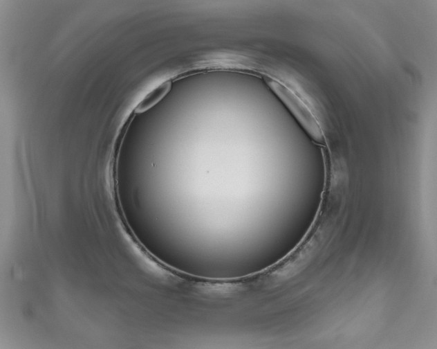 X0000111001293200906261451