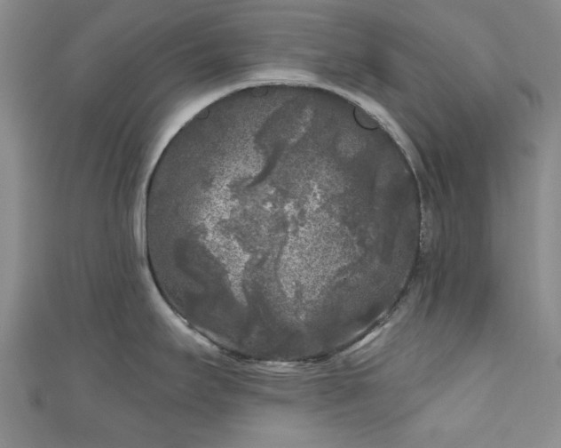 X0000111001295200906261451