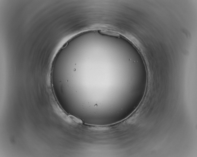 X0000111001296200906261451