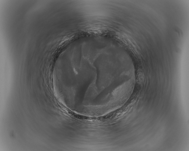 X0000111001297200906261450