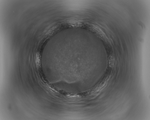 X0000111001298200906261450