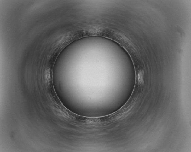 X0000111001299200906261450