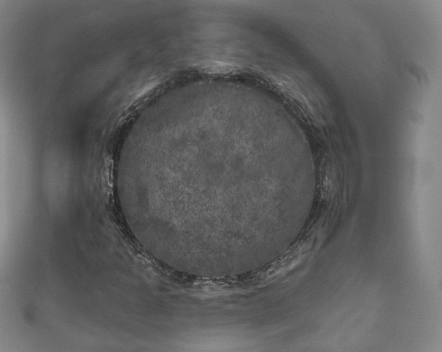 X0000111001301200906261450