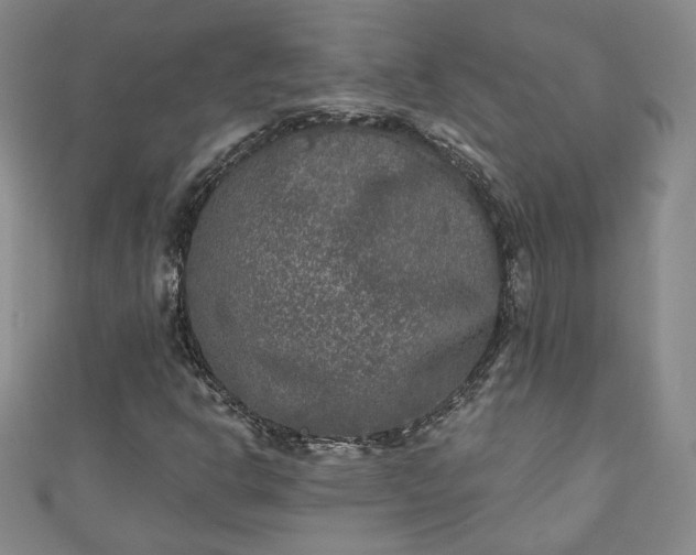 X0000111001302200906261450