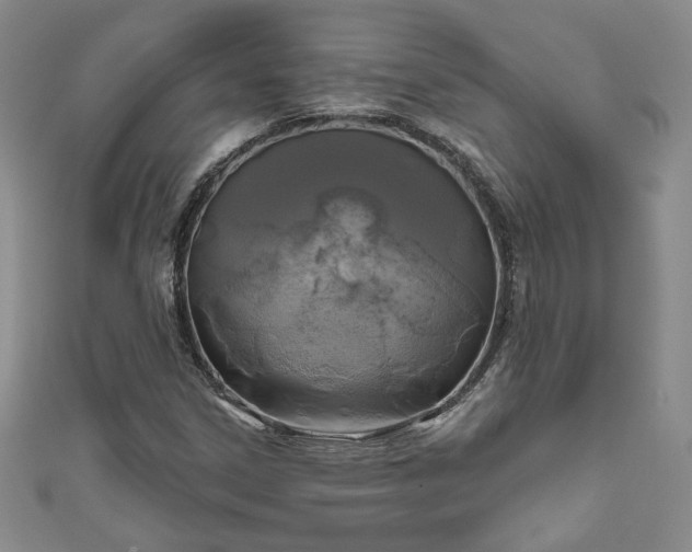 X0000111001306200906261450