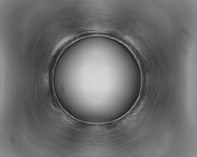 X0000111001307200906261450