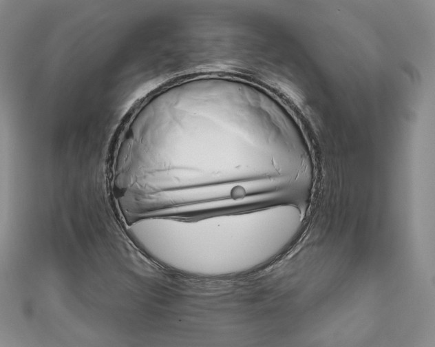 X0000111001308200906261450