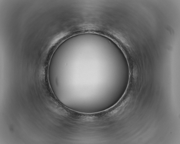 X0000111001309200906261450