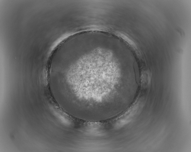 X0000111001310200906261450