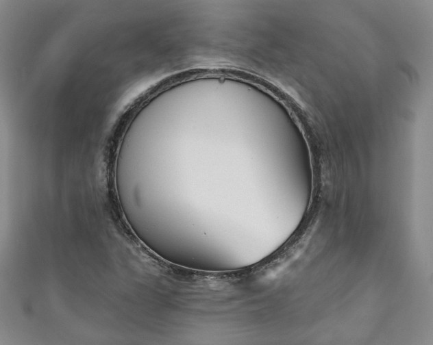 X0000111001311200906261450