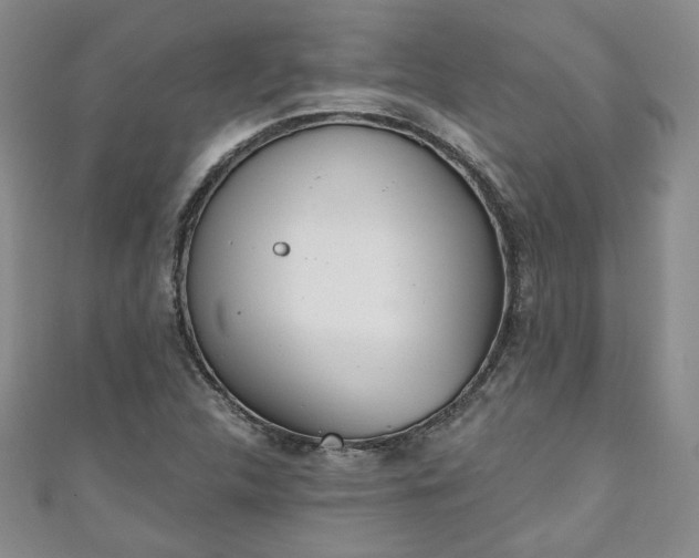 X0000111001312200906261450