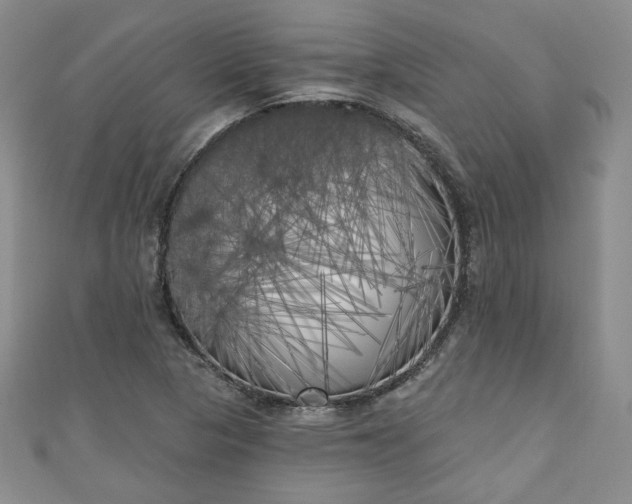 X0000111001313200906261450