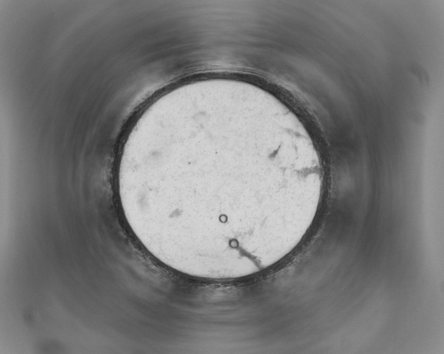 X0000111001314200906261450